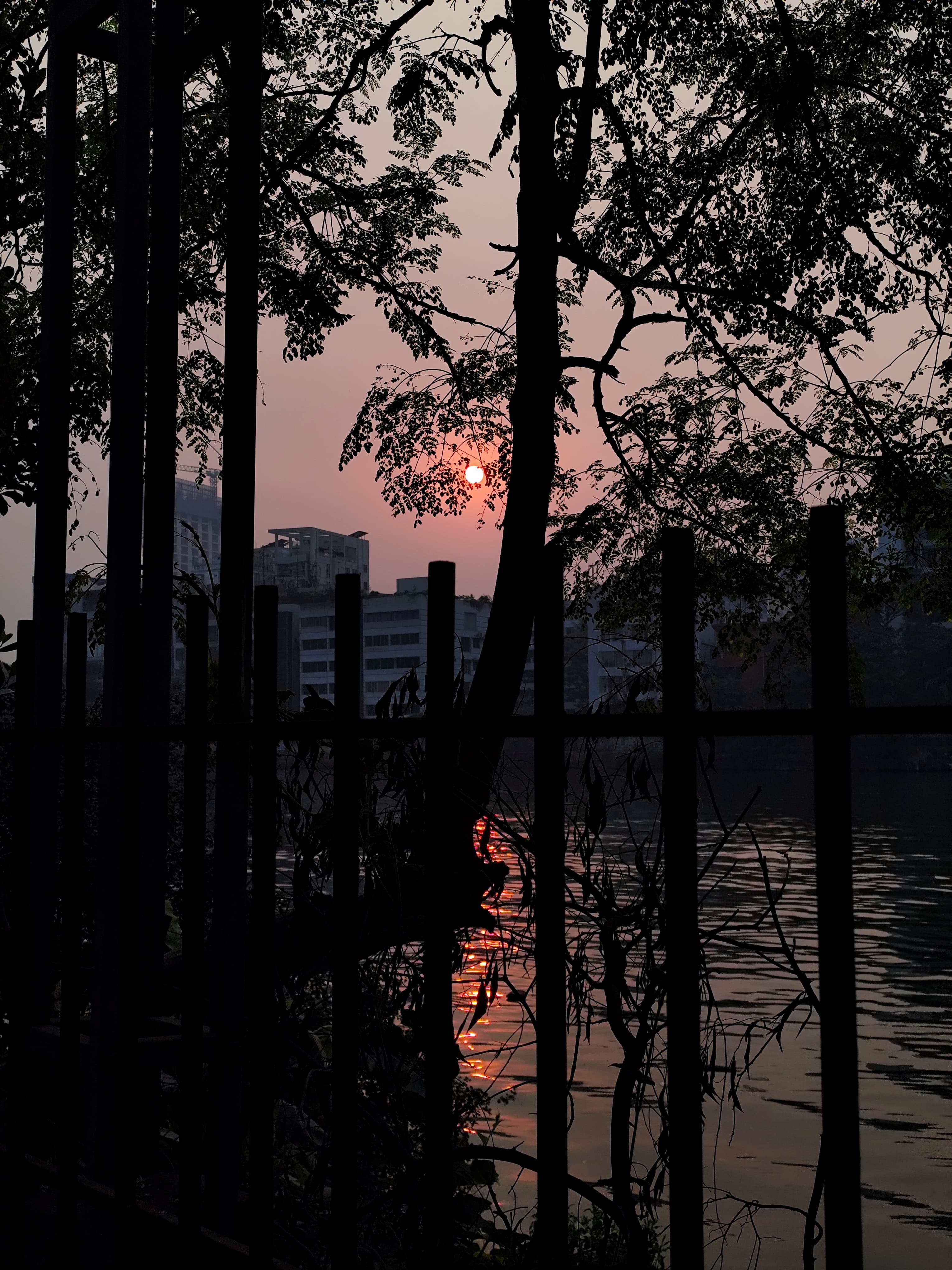 Dawn View from Lake Side